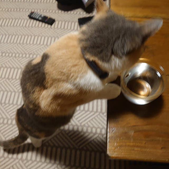 fukuさんの実例写真