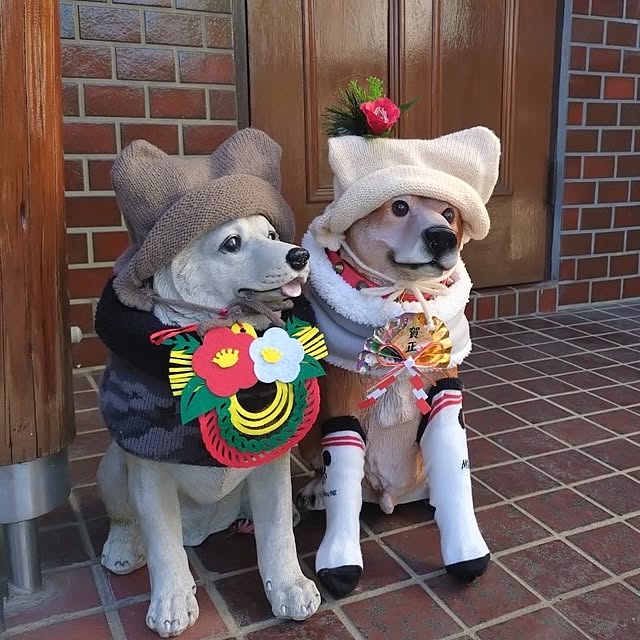 NOAHさんの実例写真