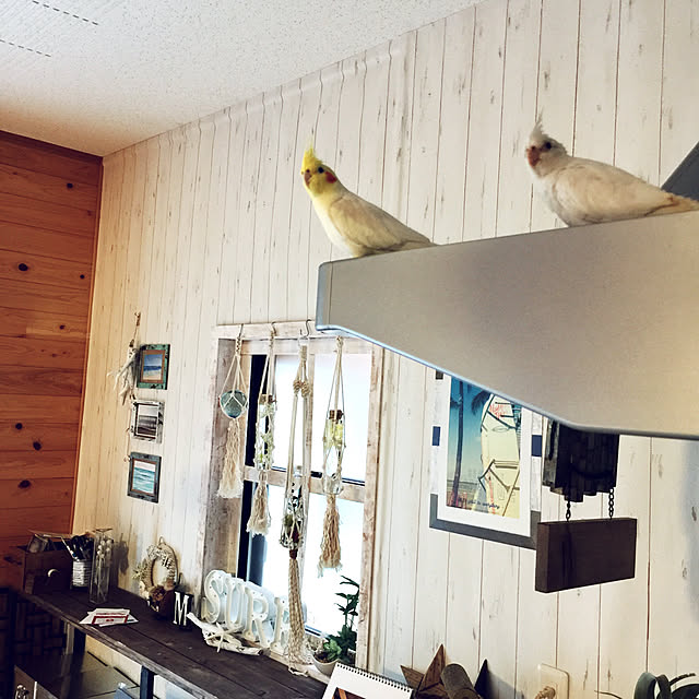 mamyuさんの実例写真