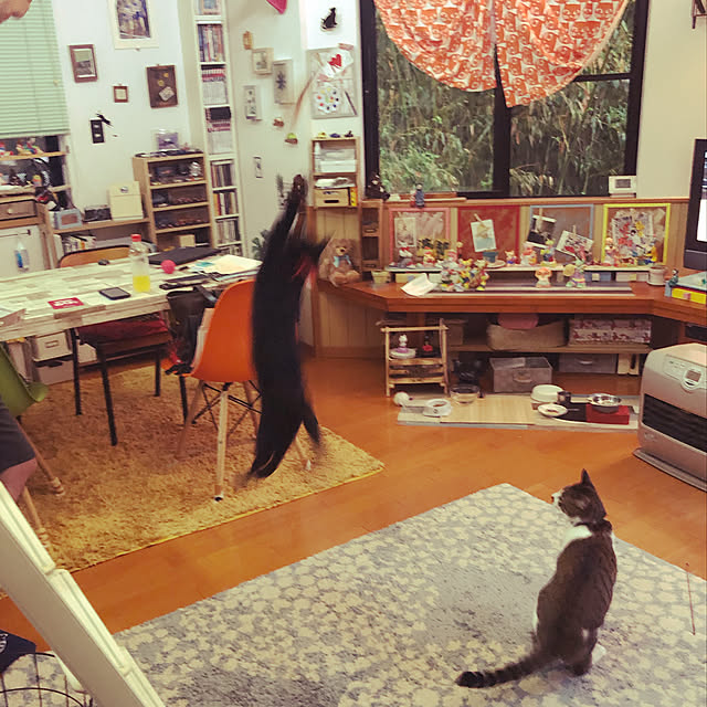 jijiさんの実例写真