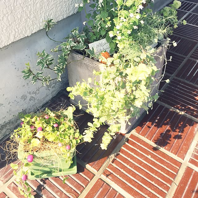 marikaさんの実例写真