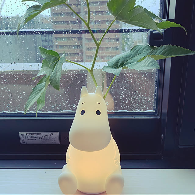 junさんの実例写真