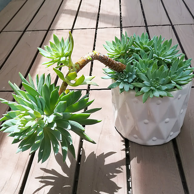 VERANDARJUNさんの実例写真