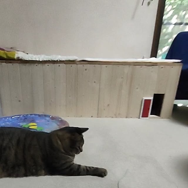 mori_6_12さんの部屋