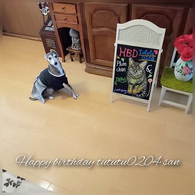 moruさんの実例写真