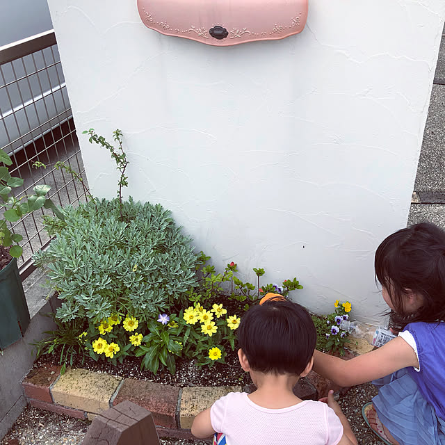 hinamamaさんの実例写真