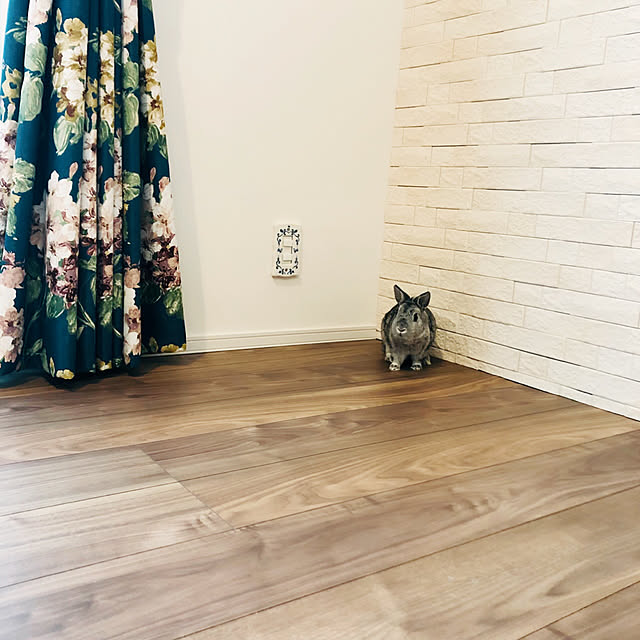 Hatsuneさんの実例写真