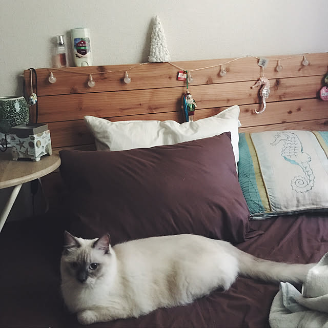 shizuku.さんの実例写真