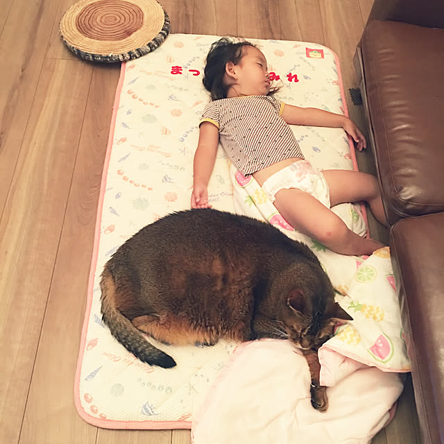 muuさんの実例写真