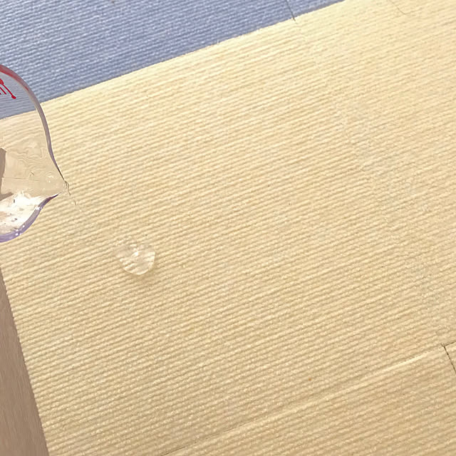 skyukaさんの実例写真