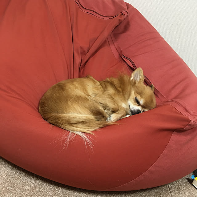 koroさんの実例写真