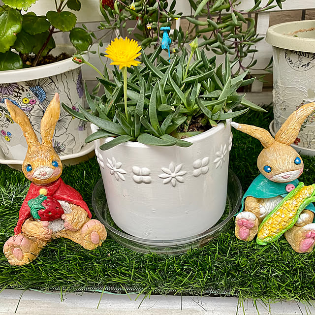 YuuKoさんの実例写真