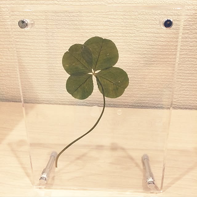 Rohan551さんの実例写真