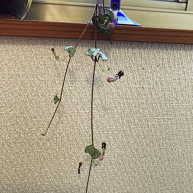 reeさんの実例写真