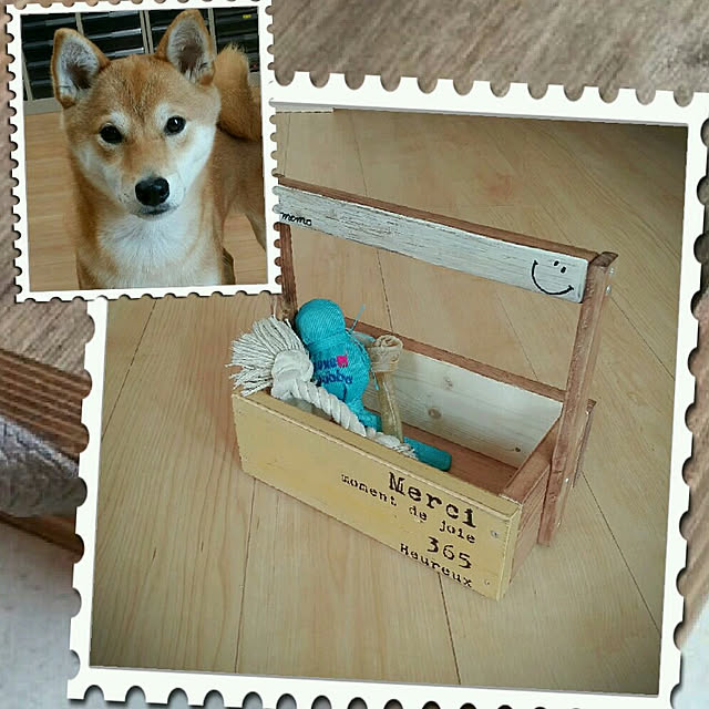 Minaharuさんの実例写真