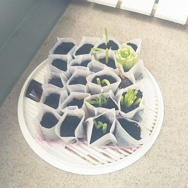 merinさんの実例写真
