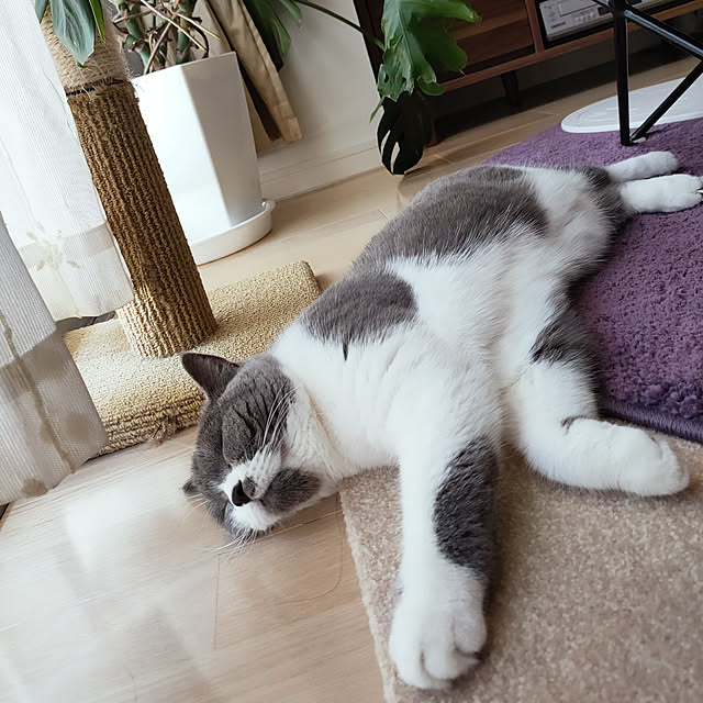 KEIKOさんの実例写真
