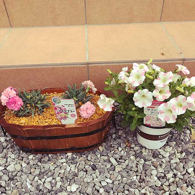 satonoriさんの実例写真