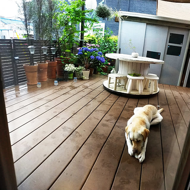 rabuさんの実例写真
