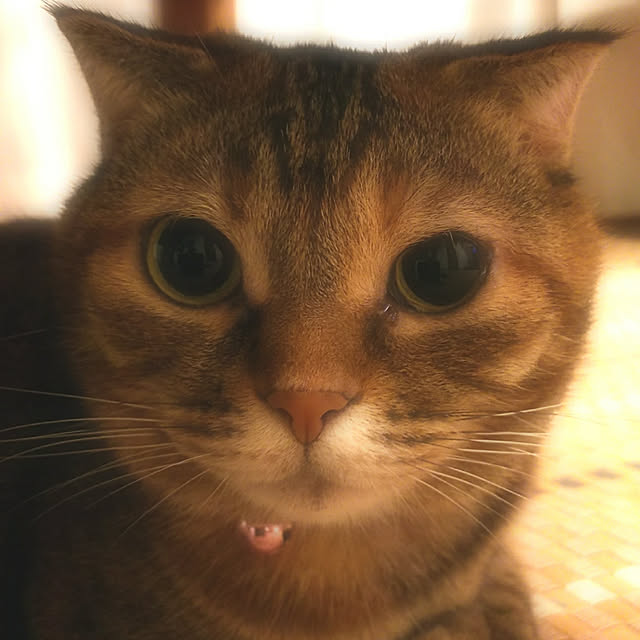 Y.Gさんの実例写真
