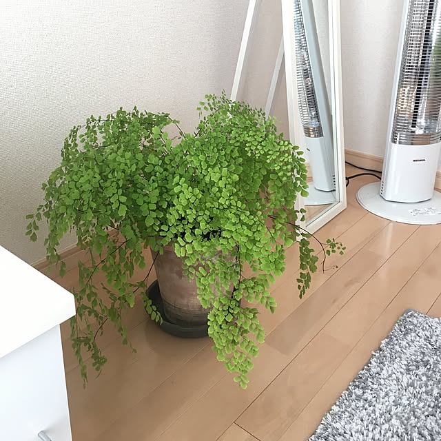 kimimarollさんの実例写真