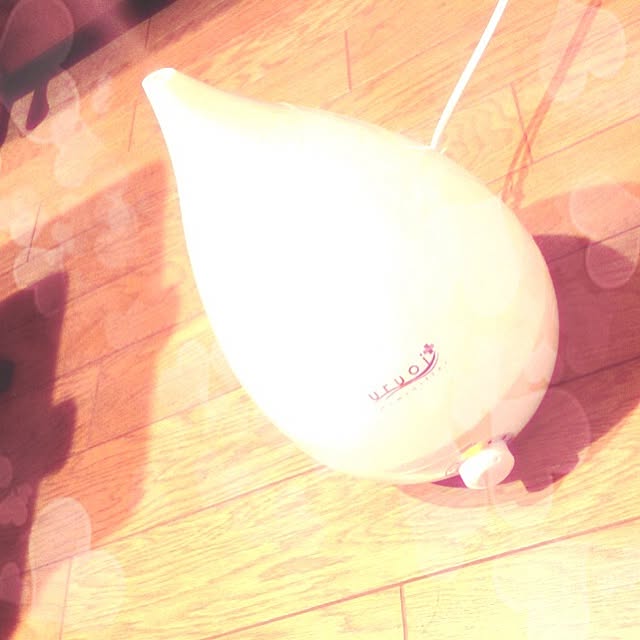 lisaisblindさんの実例写真