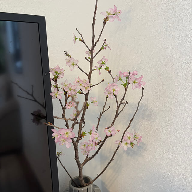 A.Iさんの部屋