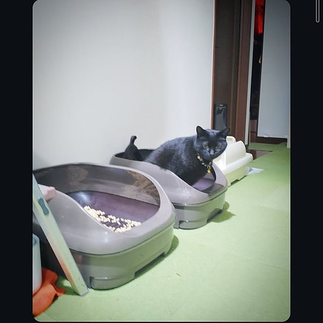 mntcさんの実例写真
