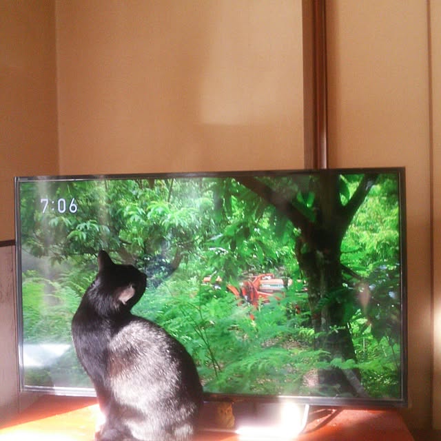tomopさんの実例写真