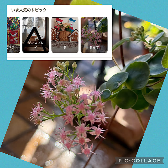 Aqettyさんの部屋