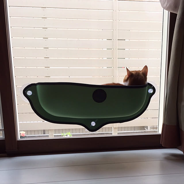 KotarouKunさんの実例写真
