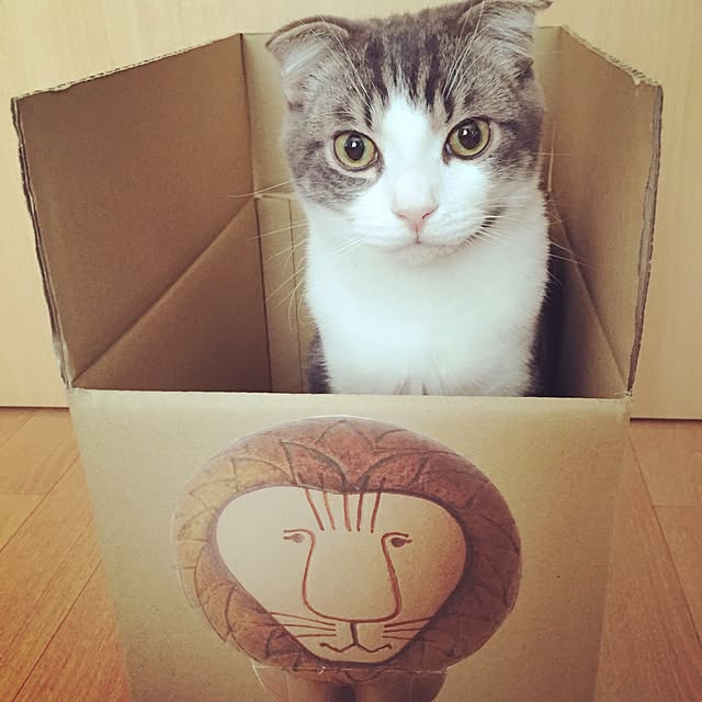 tansukeさんの実例写真