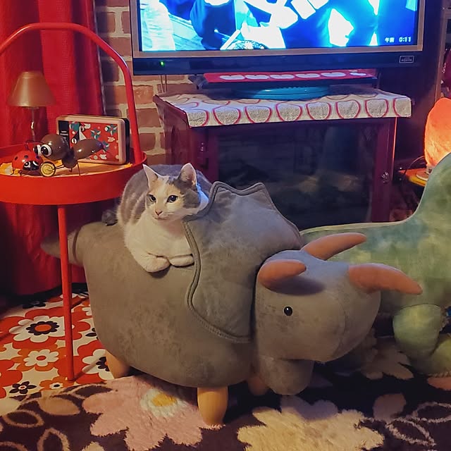 kumutanさんの実例写真