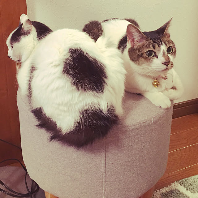 miiko3さんの実例写真