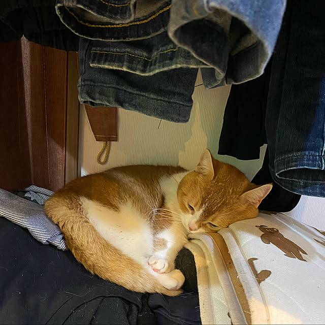 KotarouKunさんの実例写真