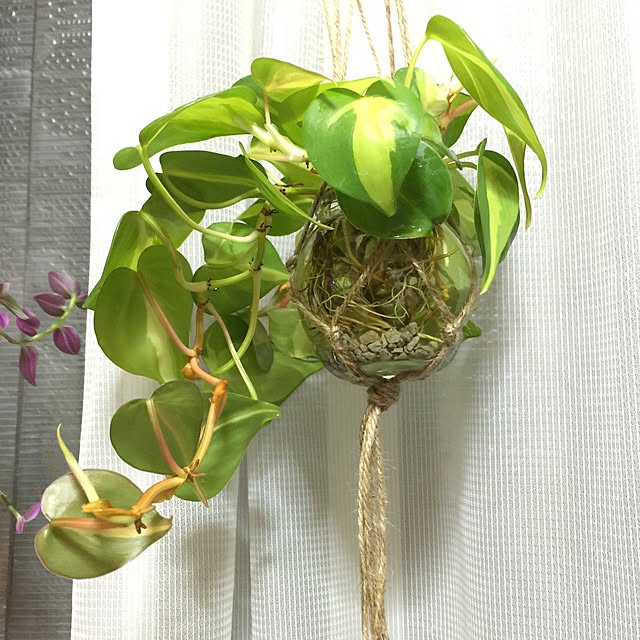 Erikaさんの実例写真