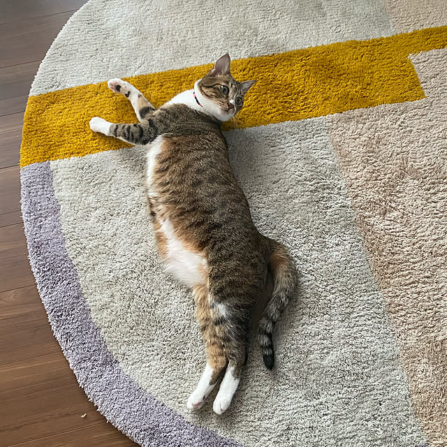 tooocoさんの実例写真