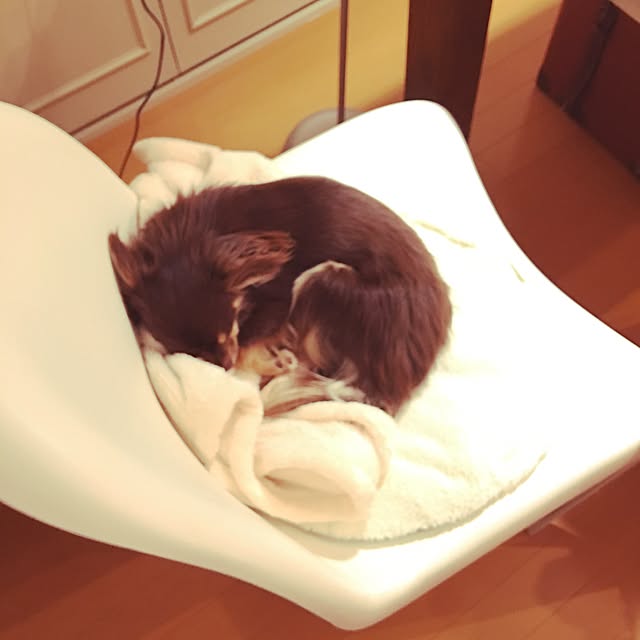 takaさんの実例写真