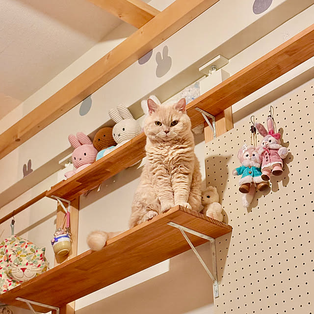 naokoさんの実例写真