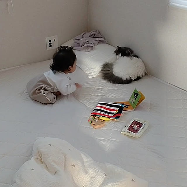 jubileeさんの部屋