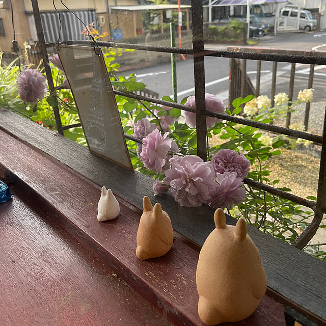 shin0719さんの実例写真