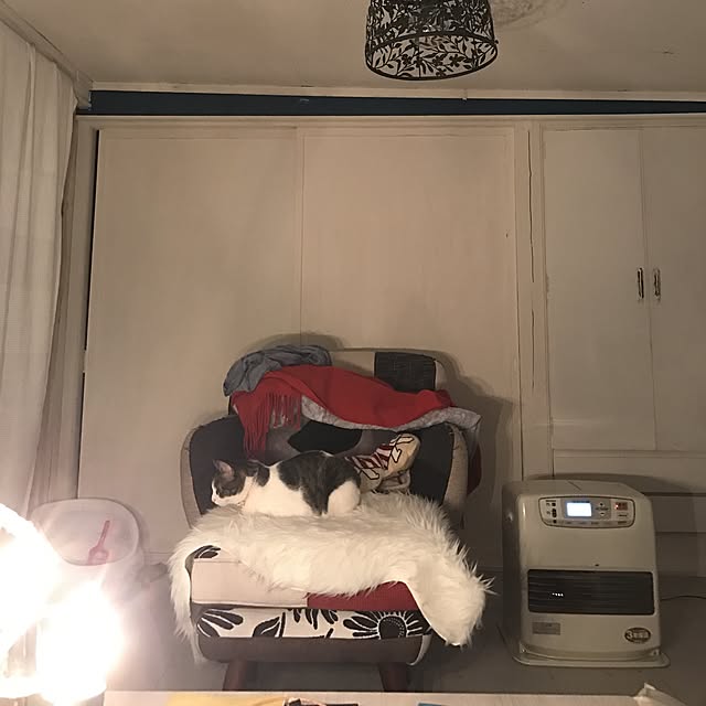Shihoさんの実例写真