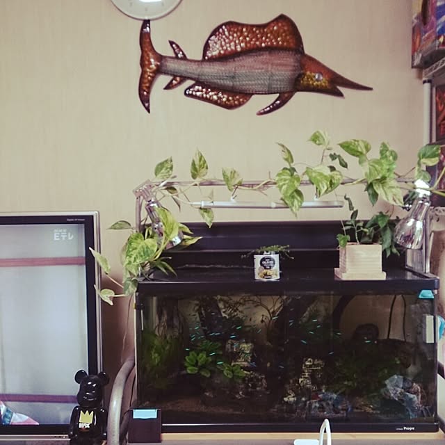 maiさんの実例写真