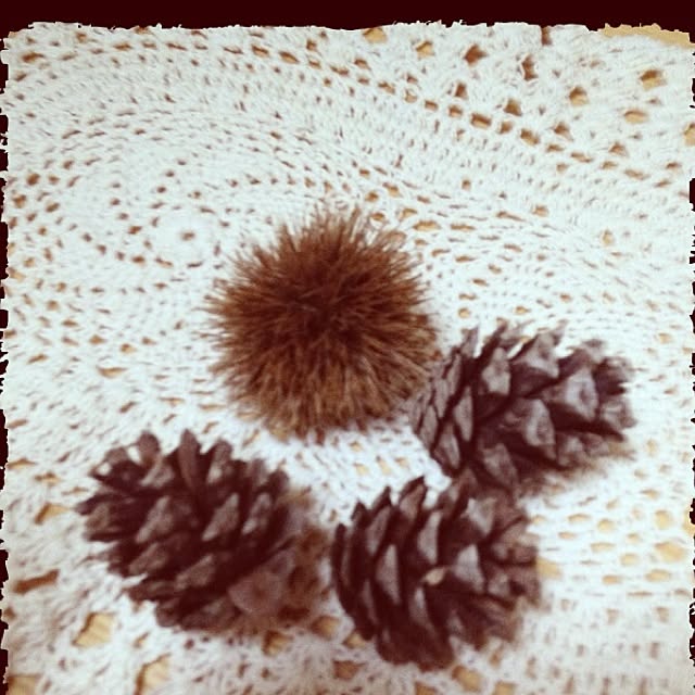 FUJIさんの実例写真