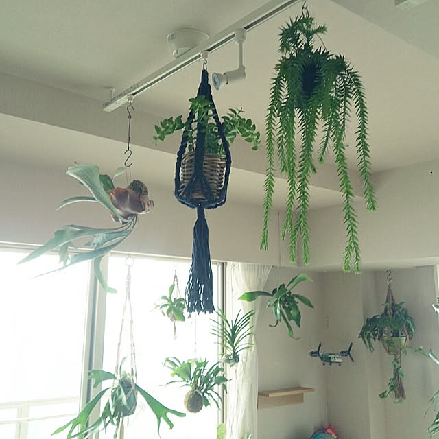 abeさんの実例写真