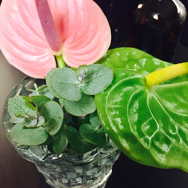 miiwa0817さんの実例写真