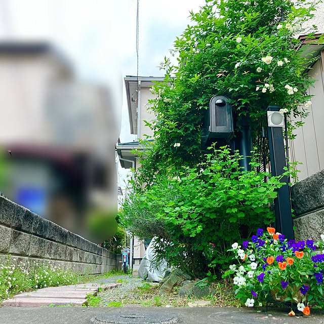 akanekoさんの実例写真