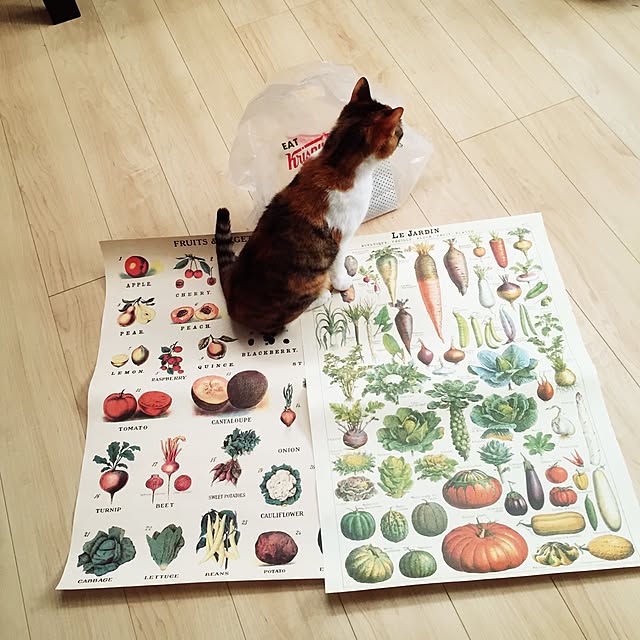 Minamiさんの実例写真