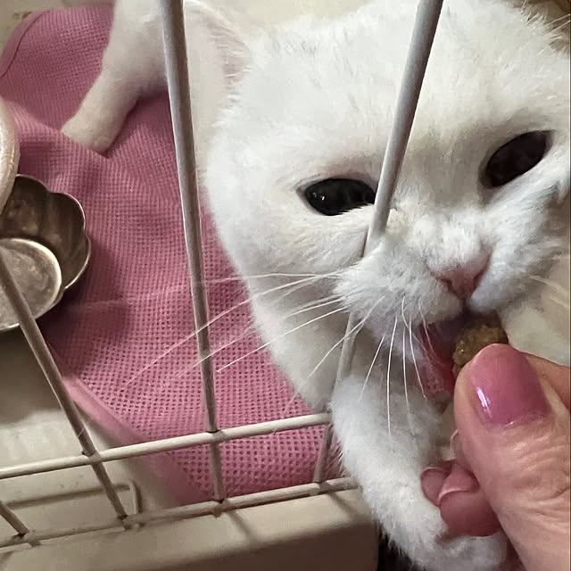 AYUKOさんの部屋