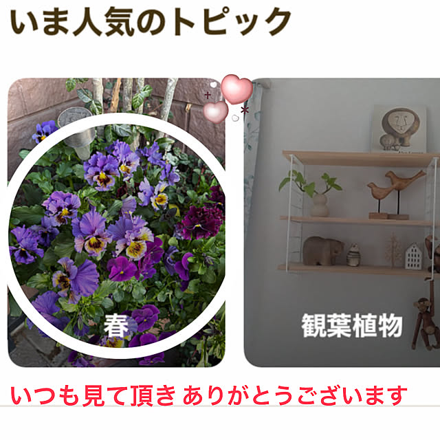 ritsukoさんの実例写真